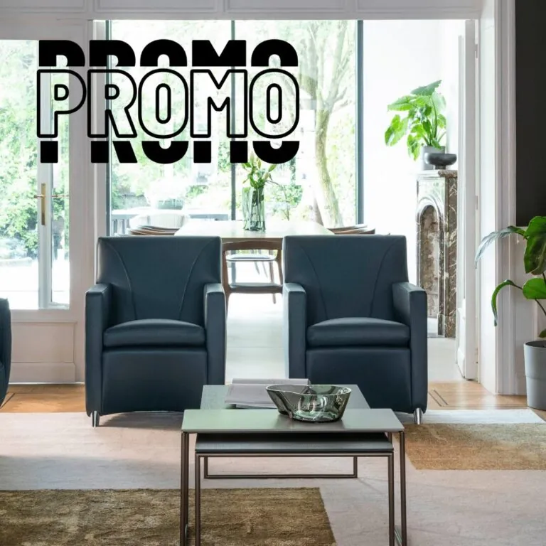 Évidence Dolcinea fauteuil Promo